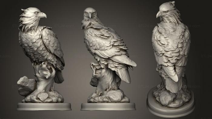 Статуэтки птицы (Орел, STKB_0199) 3D модель для ЧПУ станка